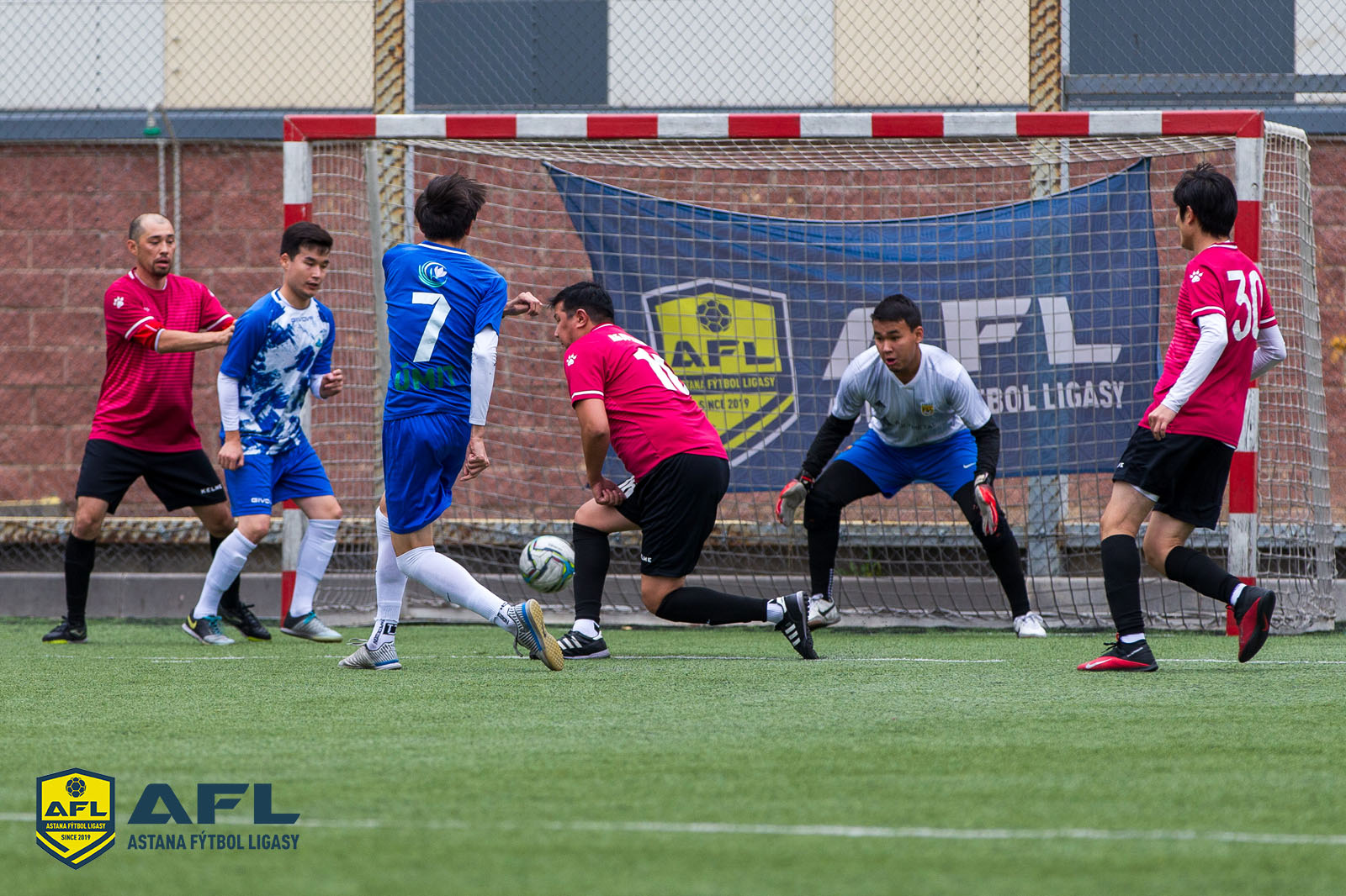 IMG 8679